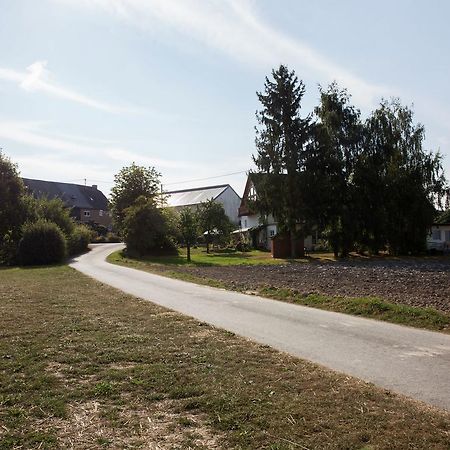 Spacious Holiday Home Between Mosel And Hunsr Ck Blankenrath Exterior foto