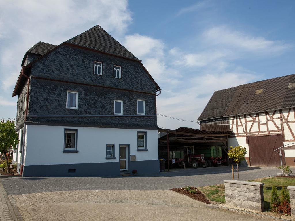 Spacious Holiday Home Between Mosel And Hunsr Ck Blankenrath Exterior foto